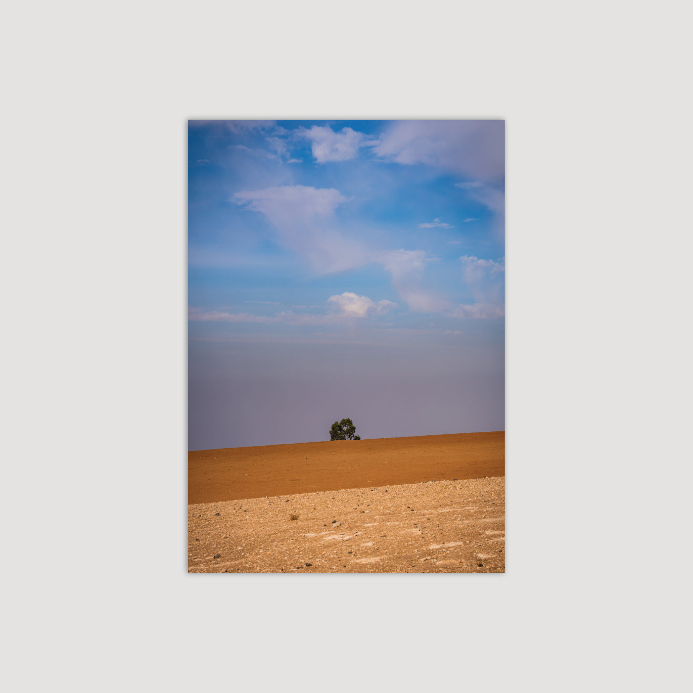 Solus