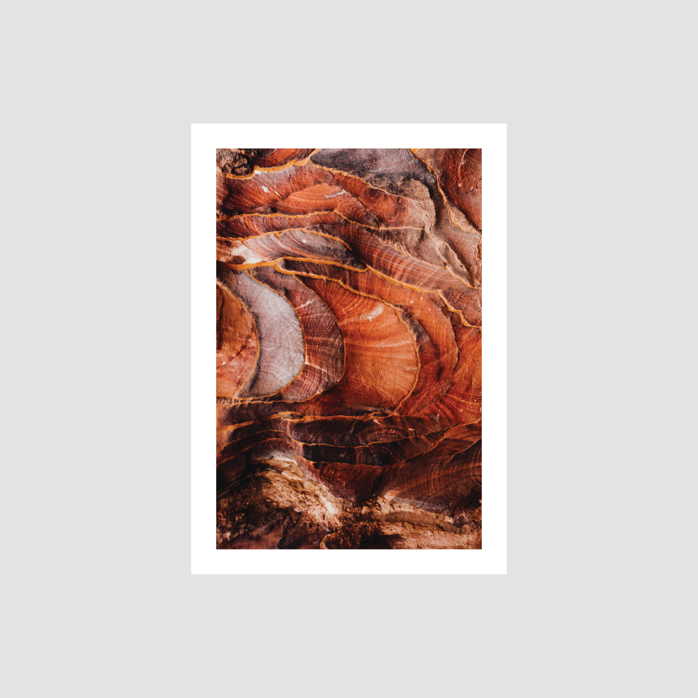 Petra: Red Rose City I