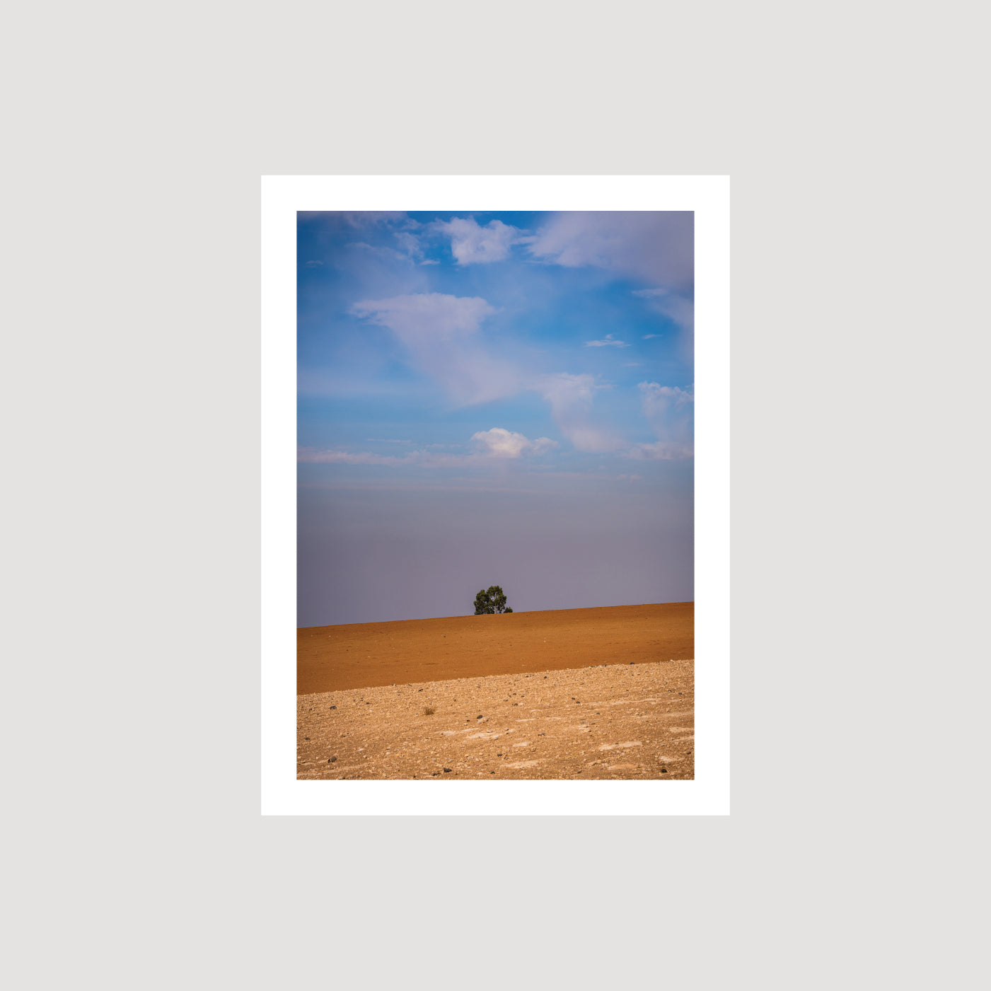 Solus