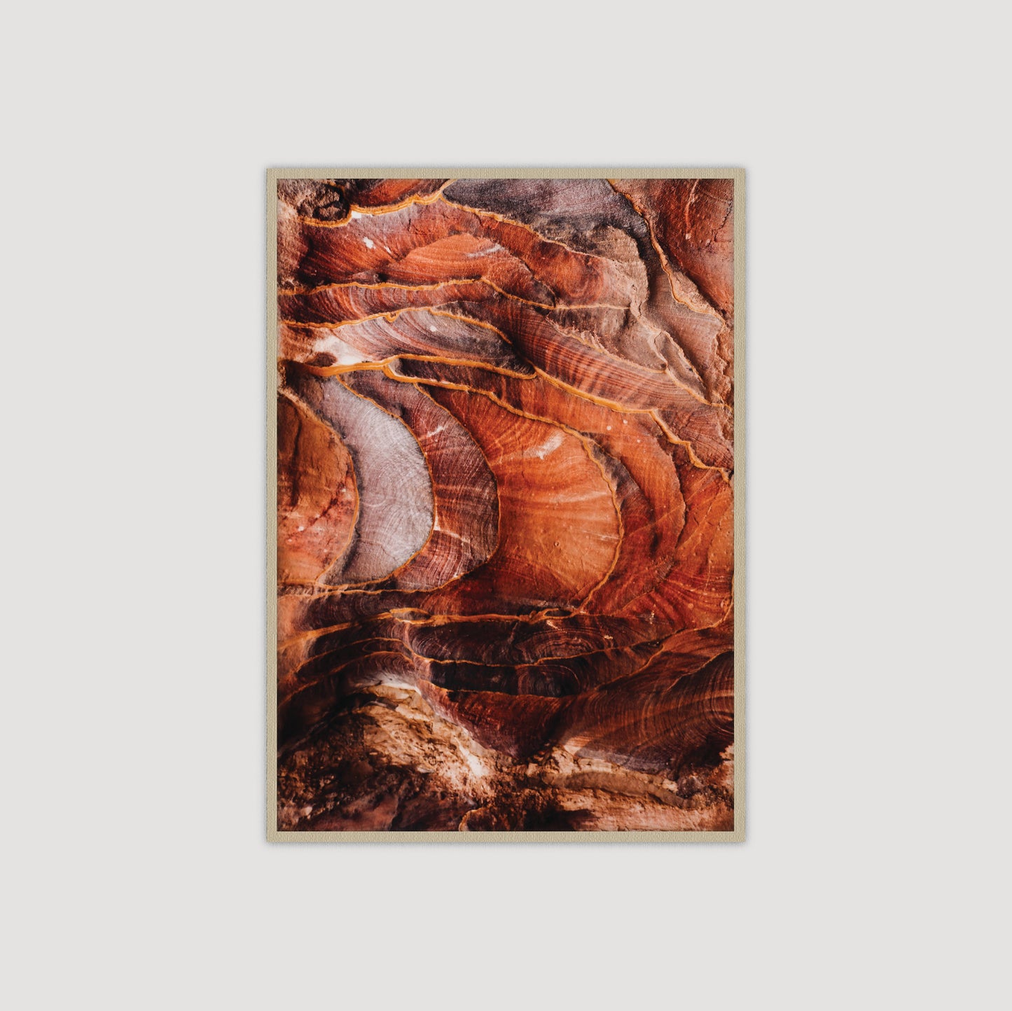 Petra: Red Rose City I