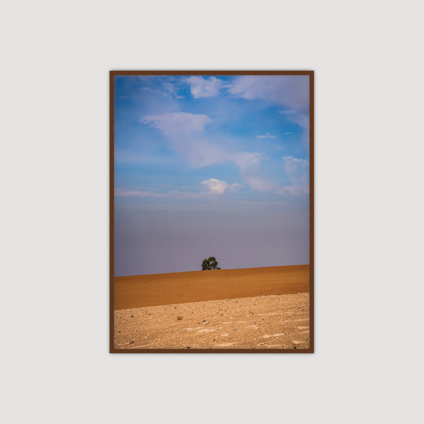 Solus