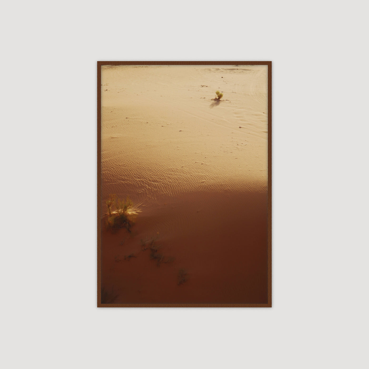 Wadi Rum: Dune III