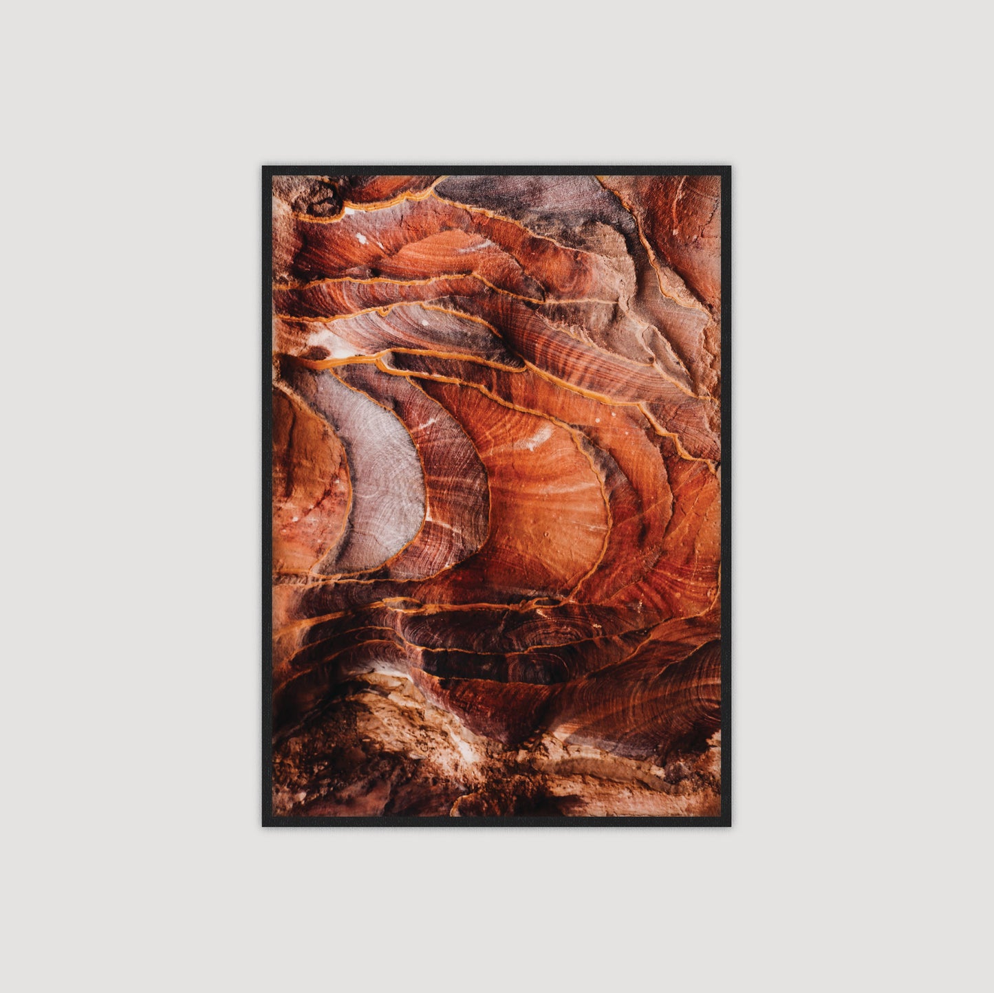 Petra: Red Rose City I