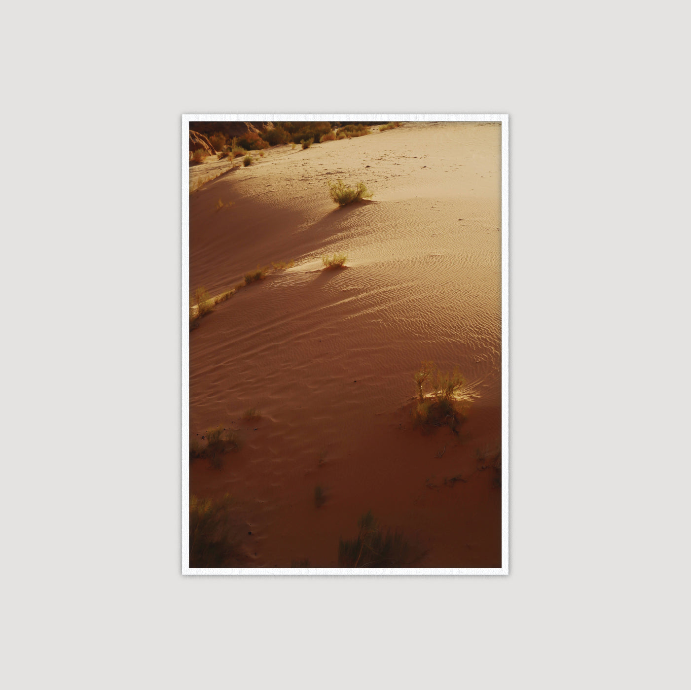 Wadi Rum: Dune I