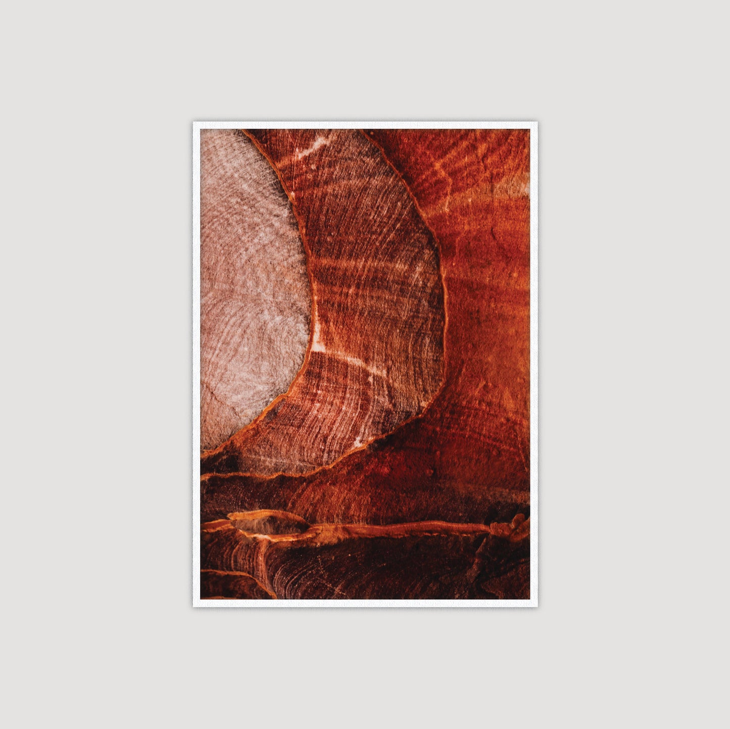 Petra: Red Rose City II