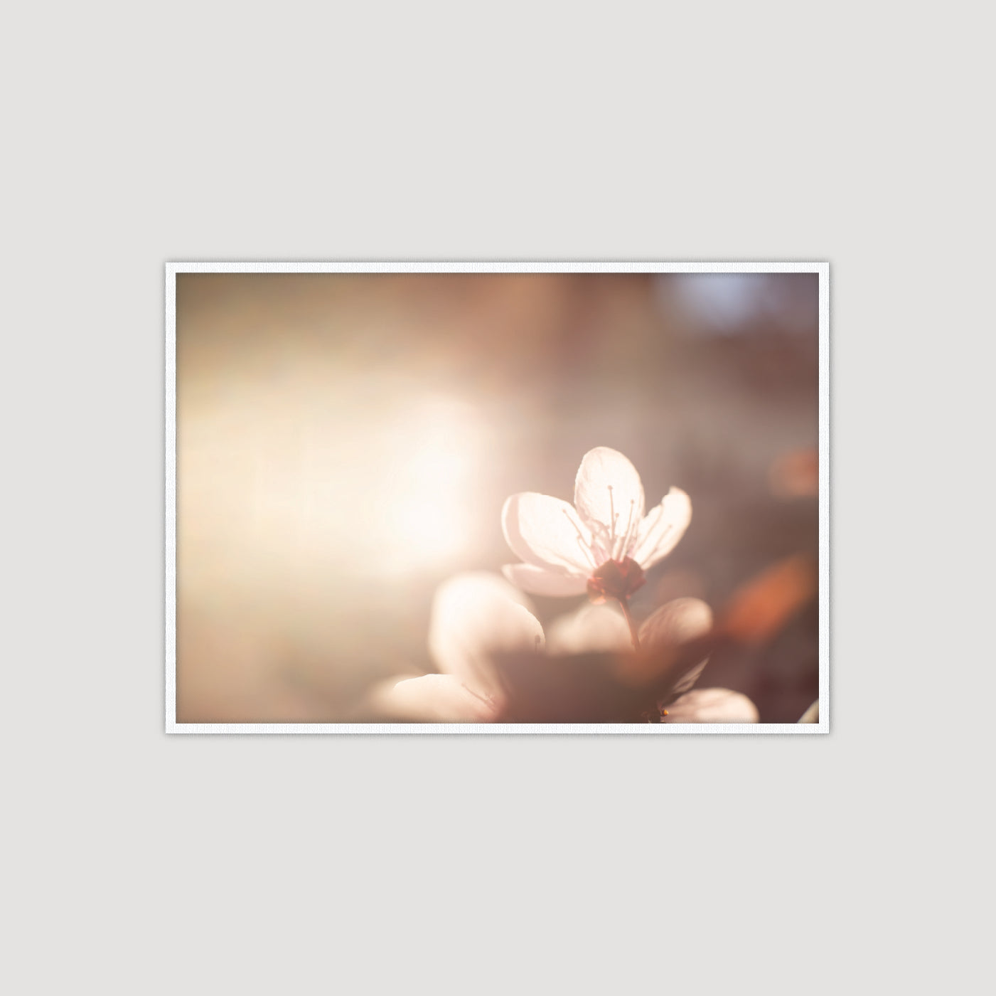 Breath of Light