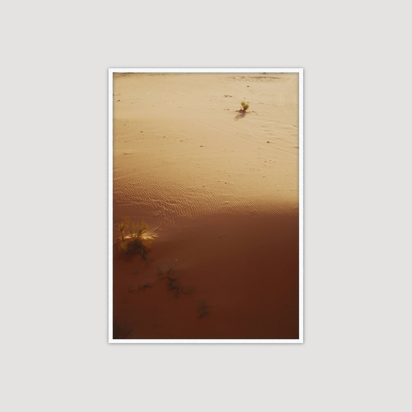 Wadi Rum: Dune III