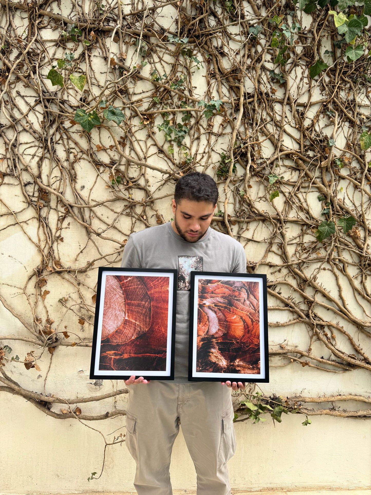 Petra: Red Rose City I